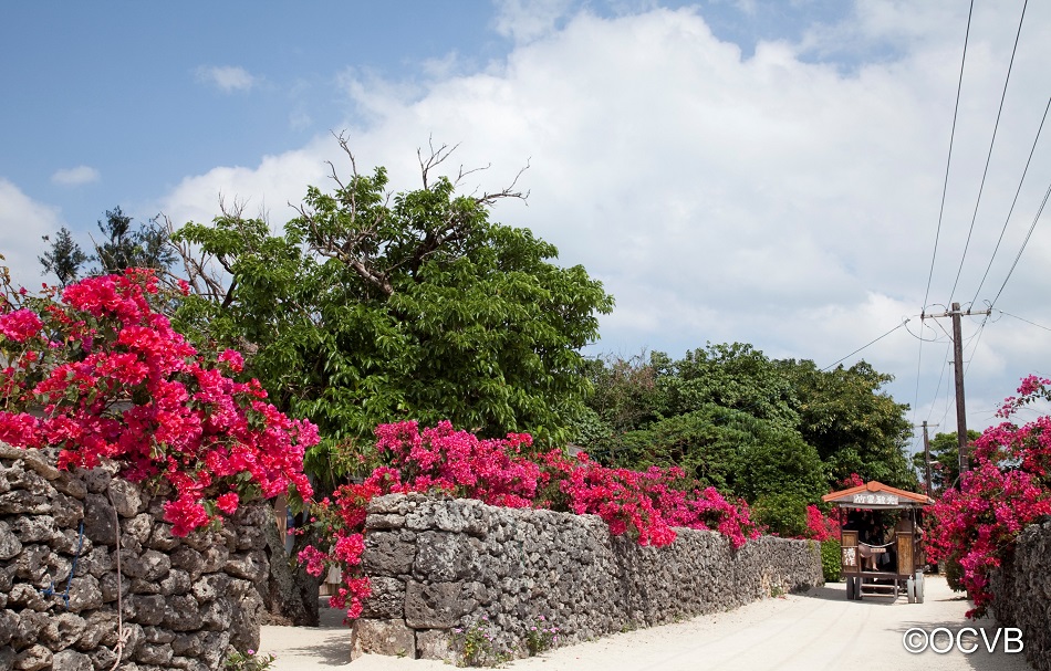 竹富島/Taketomi Island