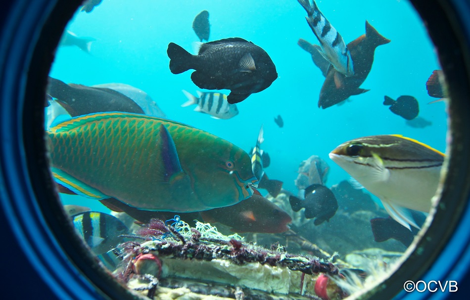 部瀨名海中公園/Busena Marine Park