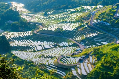 Maruyama Senmaida