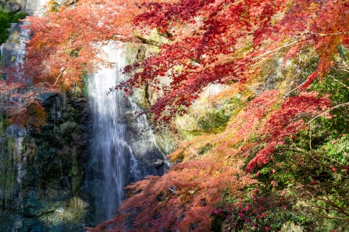 Minoo Falls布