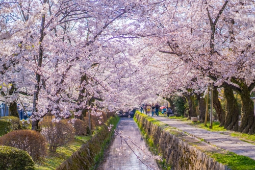 Path of Philosophy