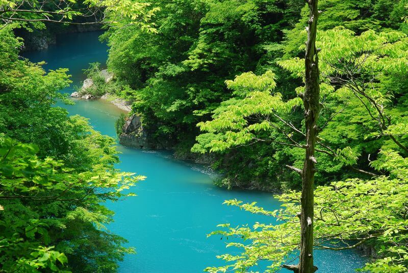 [1 night and 2 days from Morioka]
