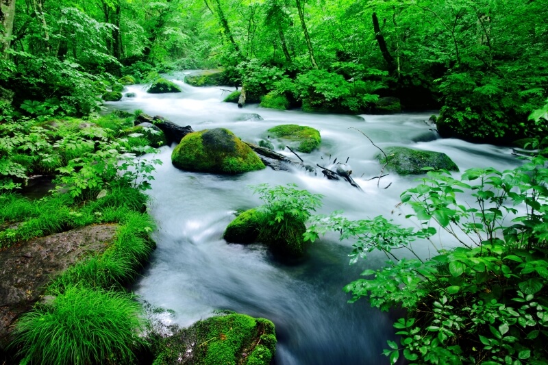 [Aomori Prefecture] 
Oirase Gorge